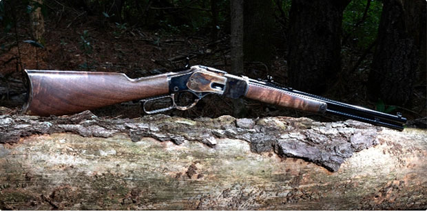 Old liver gun