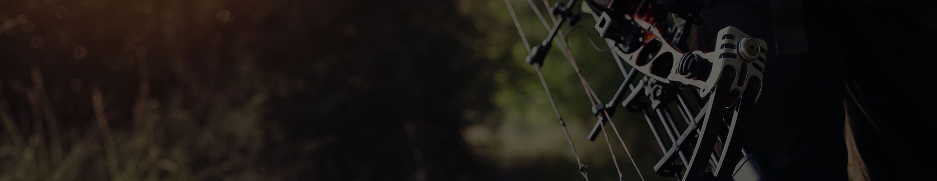 Archery baner