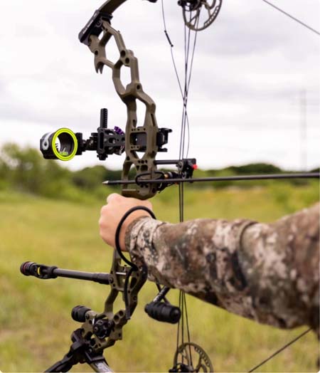Compound bows thumbnail