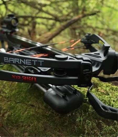 Crossbows thumbnail