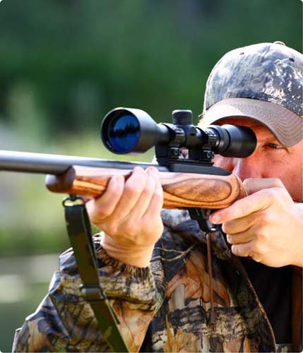 Firearms thumbnail