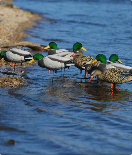 Hunting decoys thmbnail