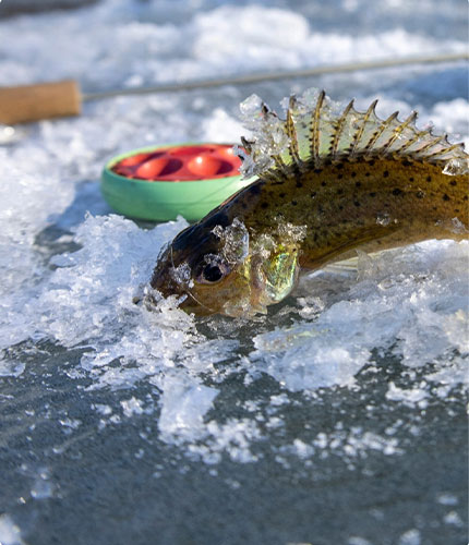 Ice fishing thumbnail