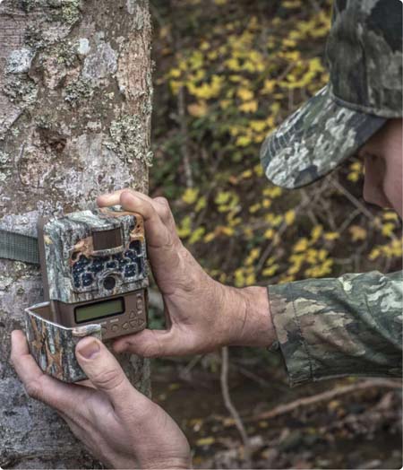 Trail cameras thumbnail
