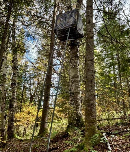 Tree stand blind thumbnail