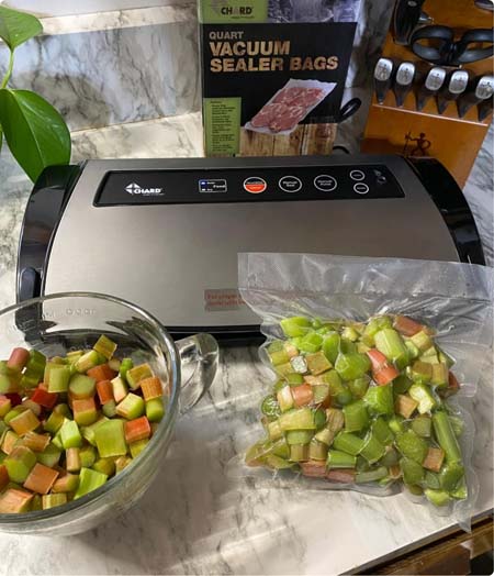 Vacuum sealer thumbnail