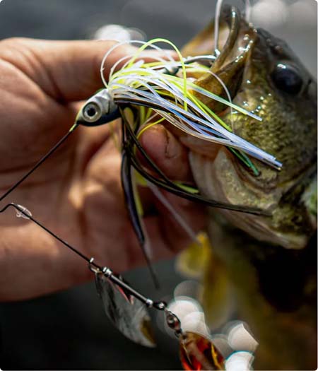 Fishing spinners thumbnail