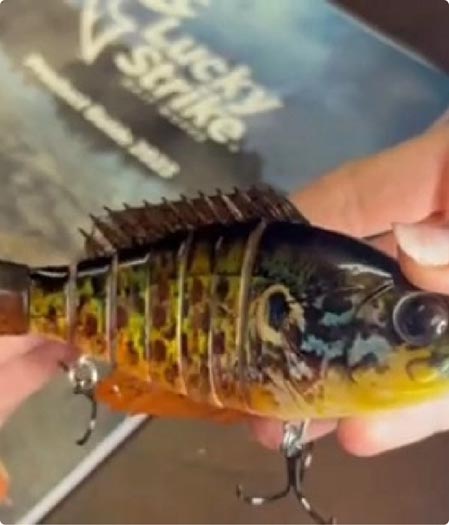 Flies poppers thumbnail