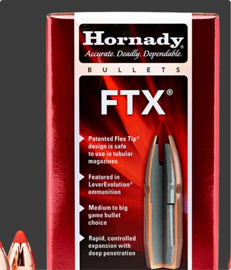Pistol bullets thumbnail
