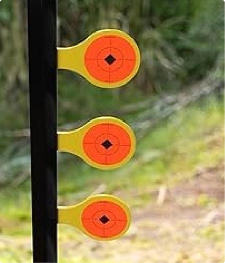 Rim fire targets thumbnail