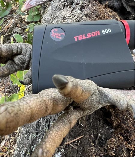 Scorpion outdoors range finder