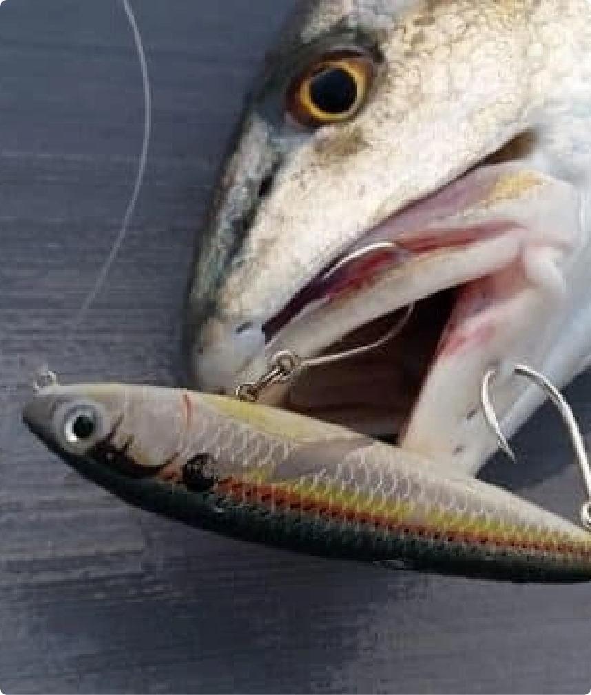 Single hooks thumbnail