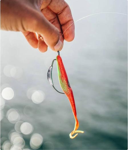 Soft bait thumbnail