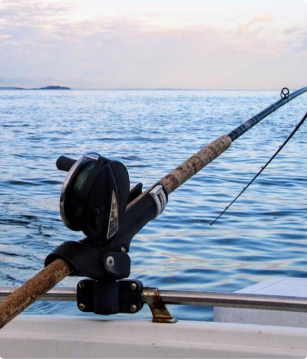 Trolling down rigger rods thumbnail