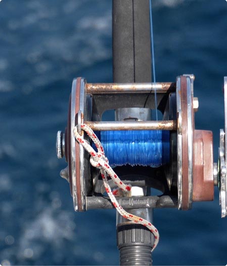 Trolling downrigger combo thumbnail