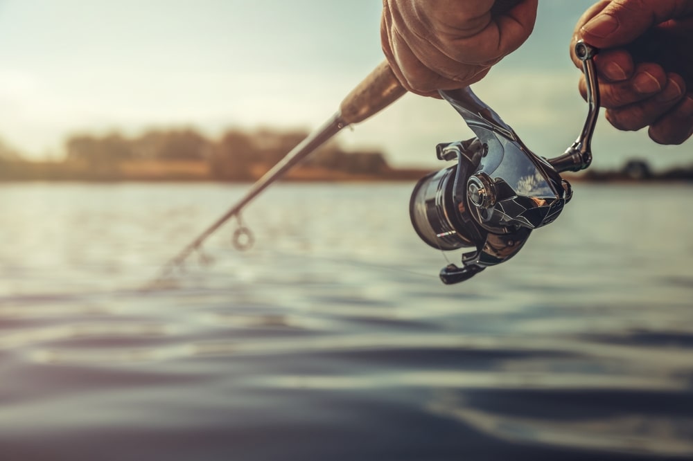 Complete Alberta Fishing Guide