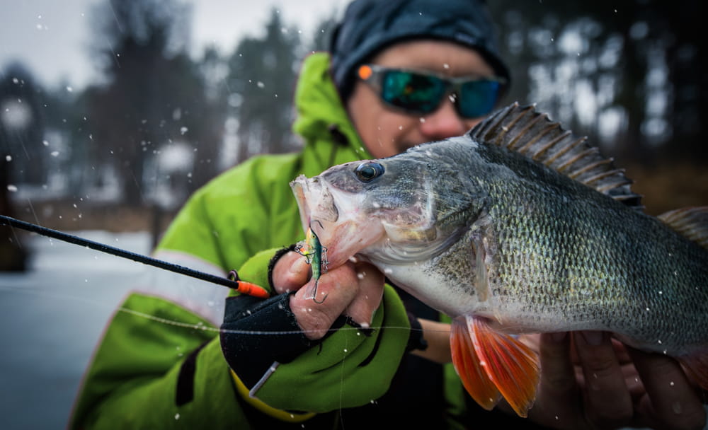 A Beginner’s Guide to Ice Fishing Near Alberta