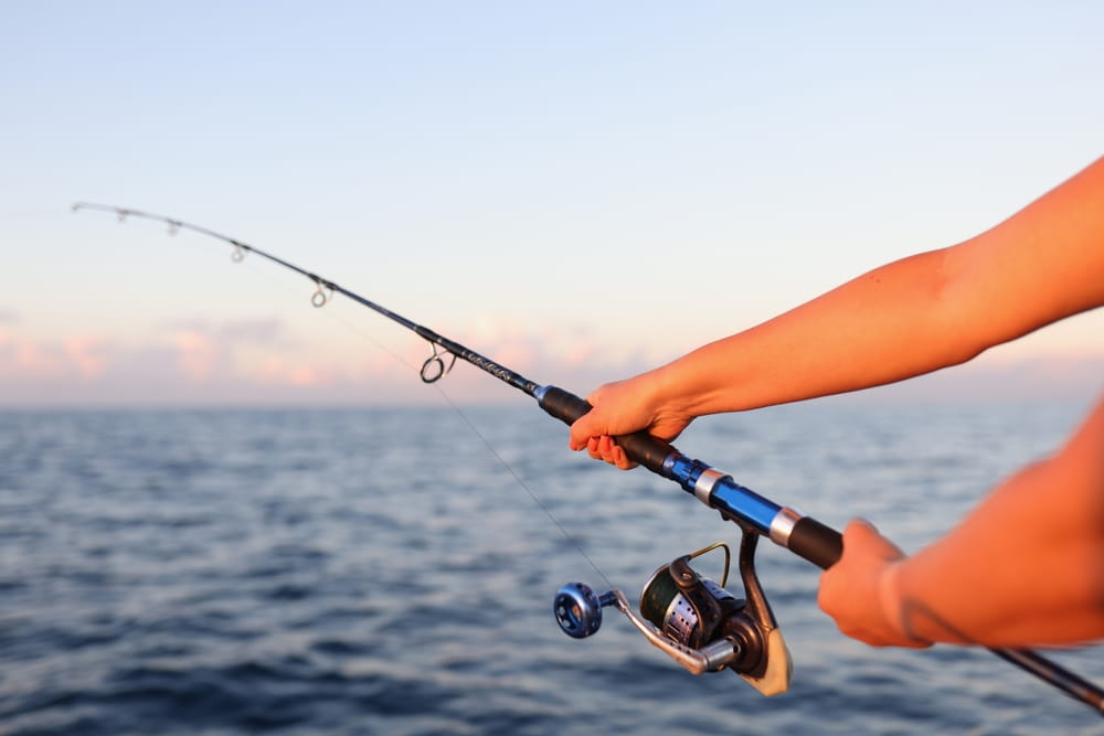 The Beginner’s Guide to Fishing Rods & Line: Building Your First Setup